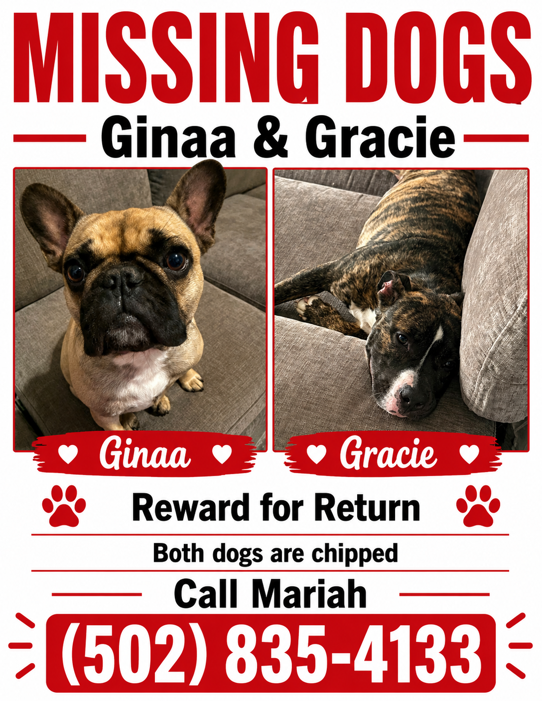 Lost Dogs